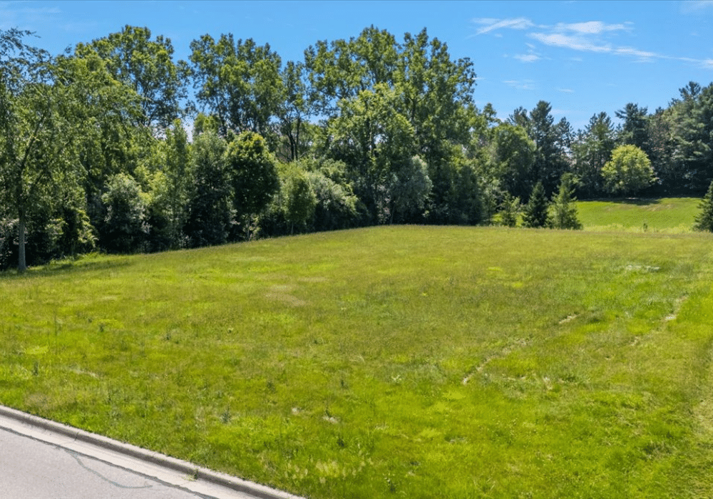 4 9 mile lot